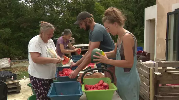 Initiative : un coup de main contre des fruits et légumes à Saint-Amand-de-Belvès