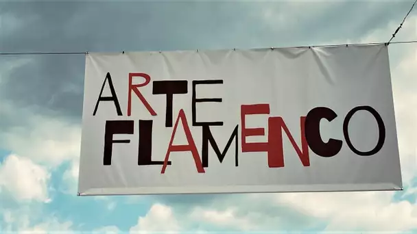 La 33e édition du Festival Arte Flamenco de Mont-de-Marsan (Landes)