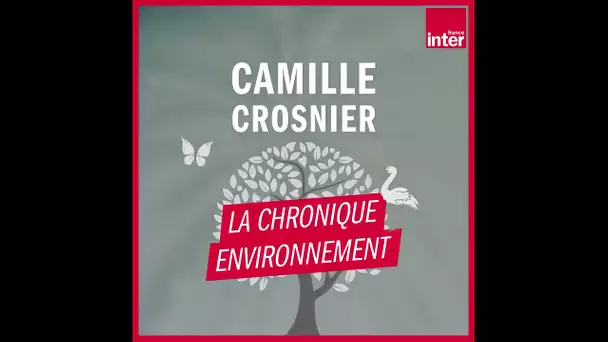 Comment économiser l'eau sous la douche ? La chronique environnement