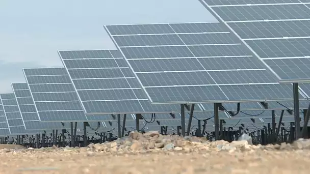 Une centrale photovoltaïque de 43 000 panneaux a été inaugurée à Dijon le 25 novembre 2021.