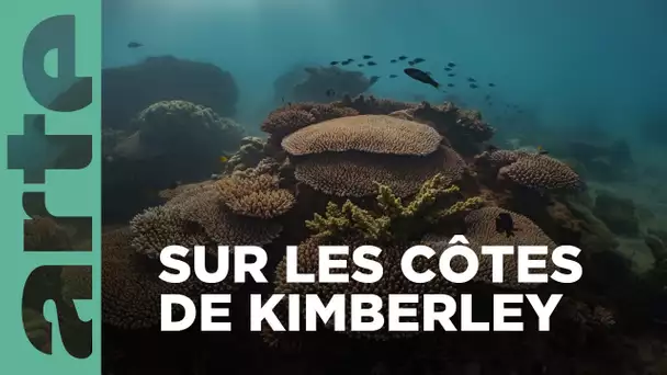 Les côtes de Kimberley, Australie | Le petit peuple des rivages | ARTE Family