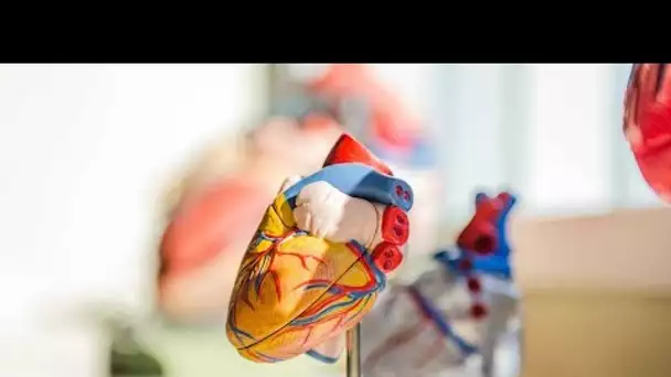 Maladie de cœur: Découvrez les 1er signes précurseurs et symptômes qui doivent vous alerter !