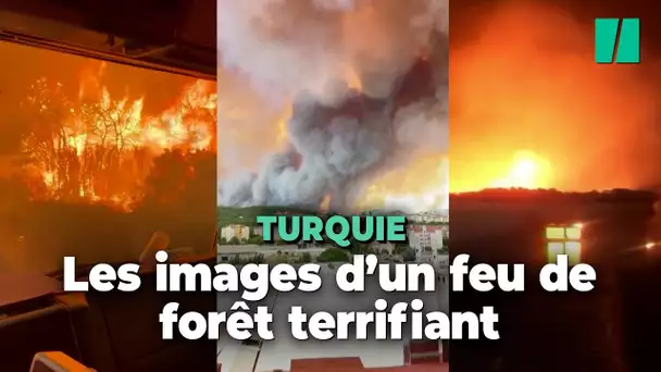 Turquie : les images du feu de forêt qui interrompt le trafic maritime dans les Dardanelles