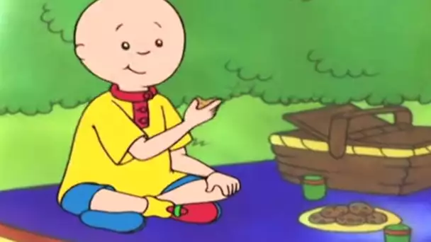 Caillou en Français - Caillou et le Pique-nique | dessin animé | conte pour enfant