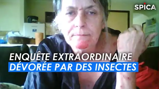 Elle est dévorée par des insectes : Enquête Extraordinaire