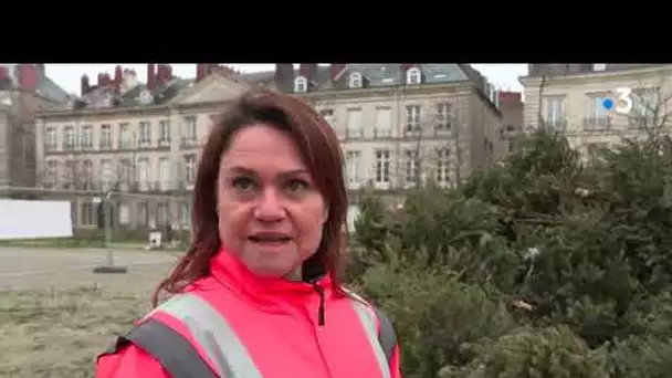Mon beau sapin, roi des forêts...adieu!