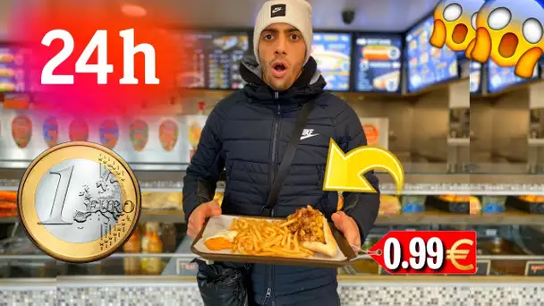 JE MANGE QUE DES TRUCS À 1€ PENDANT 24H 😱😨 ! ( j'ai triché)