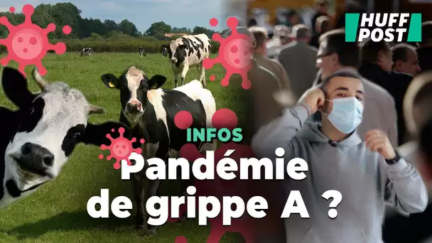 Le virus H5N1 va-t-il causer la prochaine pandémie ?