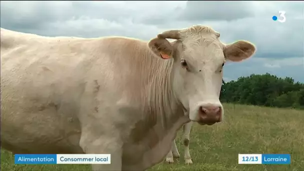 Autrepierre: une production de viande en circuit court