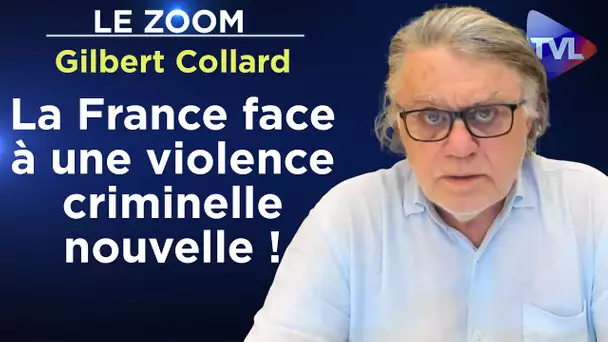 La France est face à une violence criminelle nouvelle ! - Le Zoom - Gilbert Collard - TVL