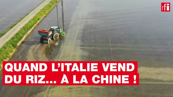 Quand l'Italie vend du riz... à la Chine !