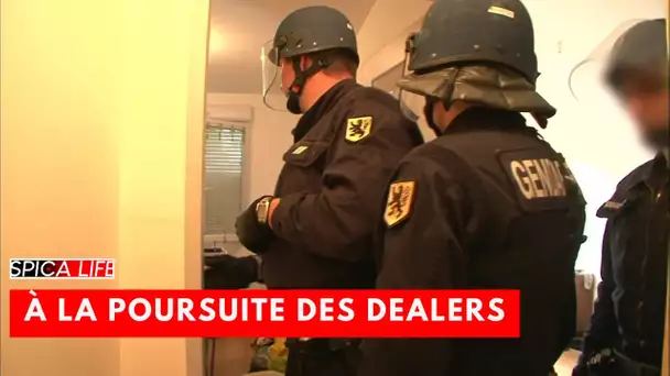 Brigade des stups : à la poursuite des dealers