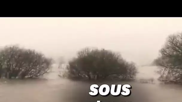 Avant d'arriver en France, la tempête Ciara n'a épargné que le sommet des arbres du Yorkshire