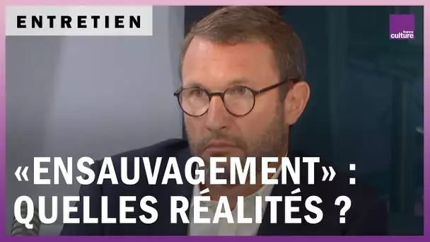 “Ensauvagement” : quelles réalités derrière la polémique ?