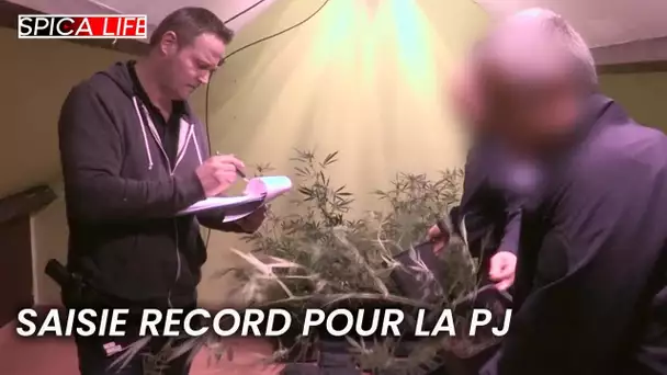 Saisie record : le coup de maître de la PJ