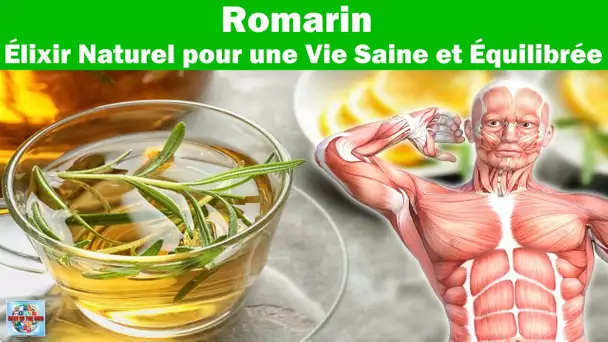 Découvrez les vertus insoupçonnées du romarin pour la santé