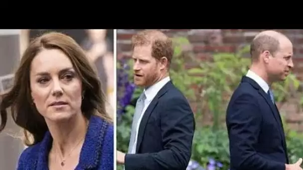 Royal Family LIVE: Kate a un plan directeur de «guérison des failles» pour réunir Harry et William a