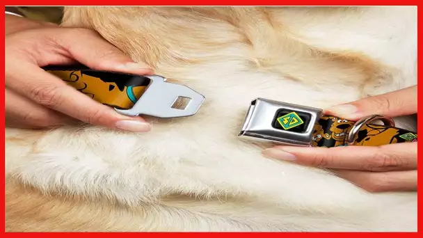 Dog Collar Seatbelt Buckle Scooby Doo Stacked Close Up Black 15 to 26 Inches 1.0 Inch Wide