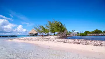 Cette île de rêve dans les Caraïbes est en vente pour le prix d'un petit trois pièces parisien