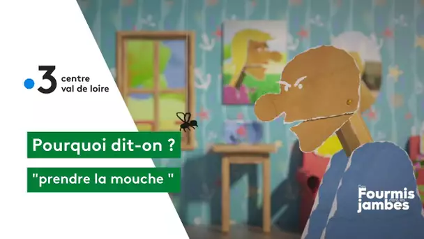 Pourquoi dit-on : prendre la mouche !