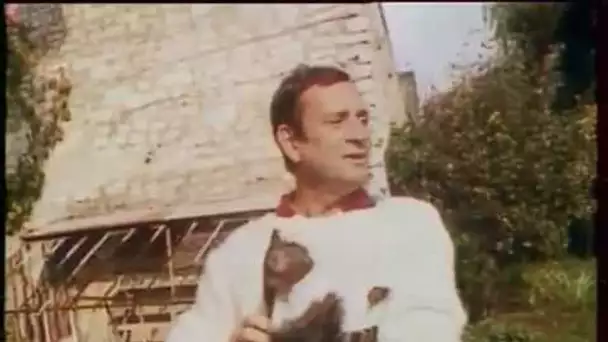 Georges Descrières : un chat m'a sauvé la vie - Archive vidéo INA