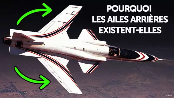 Pourquoi Certains Avions ont des Ailes à l'Envers