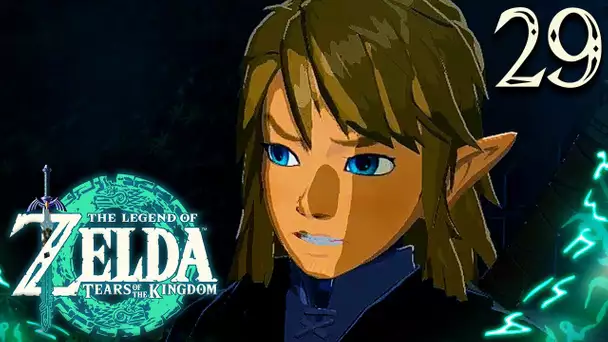 Zelda Tears of the Kingdom #29 : LE DÉMON VOLEUR !