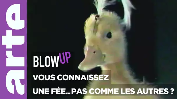 Vous connaissez "Une fée... pas comme les autres" ? - Blow Up - ARTE