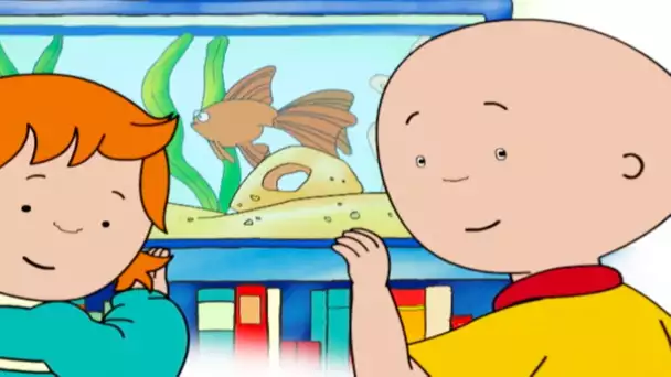 Caillou et L'aquarium | Caillou en Français