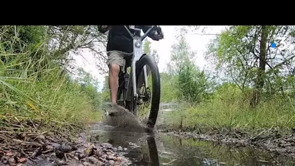 Nancy à vélo 2