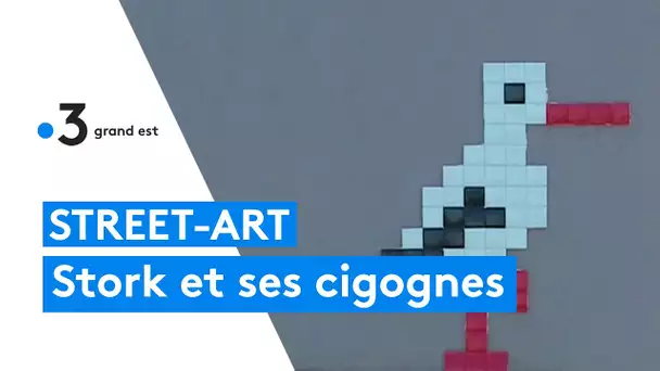 Street-art : Stork et ses cigognes urbaine