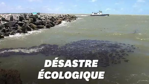 2000 km de plages du Brésil polluées aux hydrocarbures, un désastre "inédit"