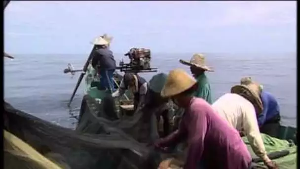 Fishing Adventures in Malaysia Documentary
