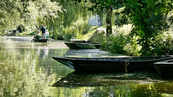 Grandeur Nature -  Le  Marais Poitevin - Film documentaire