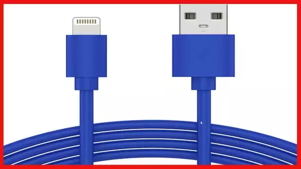 TALK WORKS iPhone Charger Lightning Cable 10ft Long Heavy Duty Cord MFI Certified for Apple iPhone