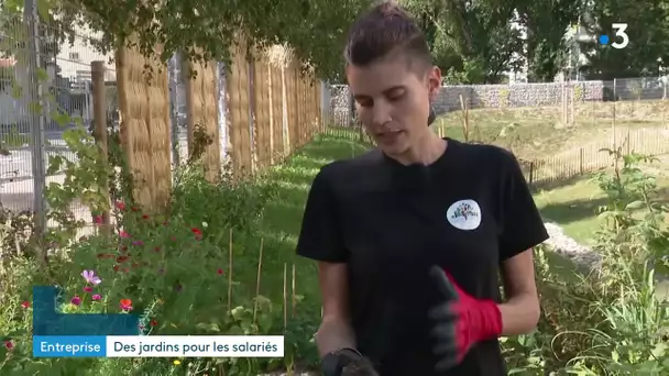 Lyon : Place au Terreau popularise la Permaculture en entreprise