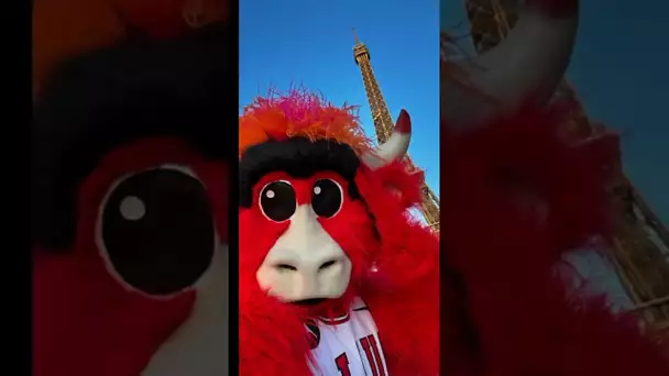Giving Benny the Bull a phone will result in a photoshoot 😂🇫🇷 #NBAParis