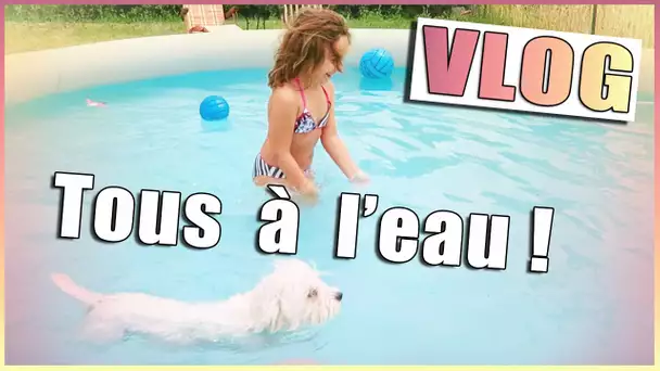 Chiens à l&#039;eau ! ... et enfant !