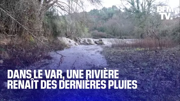 Var: les images étonnantes d'une rivière qui renaît grâce aux dernières pluies