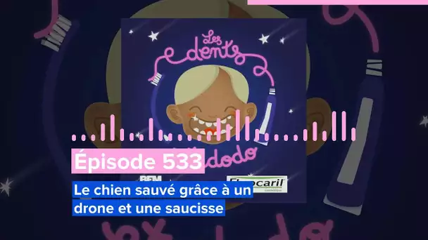 Les dents et dodo - Épisode 533 : Le chien sauvé grâce à un drone et une saucisse