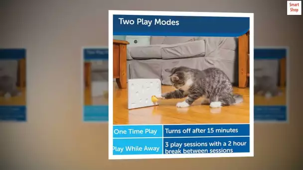 PetSafe Cheese - Interactive, Electronic Cat Toy - Peek-A-Boo Mouse Hunt Game