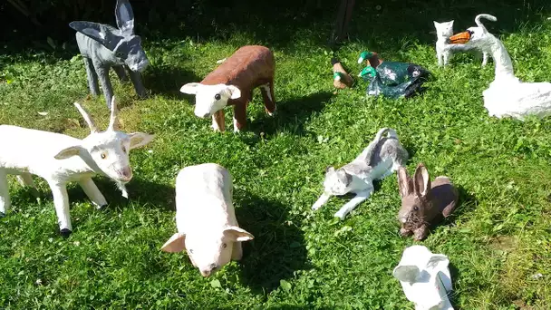 Les animaux de la ferme raconté par Claude Rich - Documentaire animalier