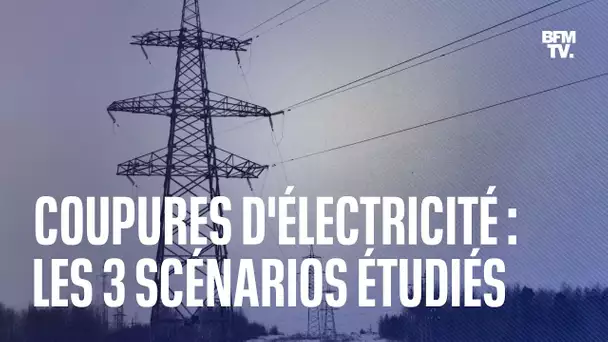 Coupures d'électricité: quels sont les trois scénarios étudiés par RTE pour cet hiver?