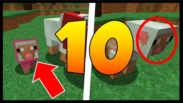 LE SAVIEZ VOUS ? 10 SECRETS SUR LES MOUTONS MINECRAFT