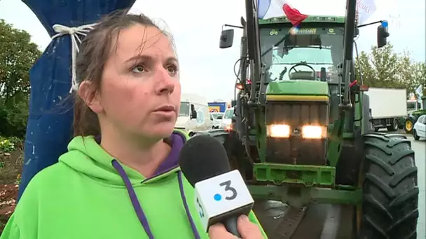 Nîmes : opération escargot des agriculteurs, l'A9 bloquée