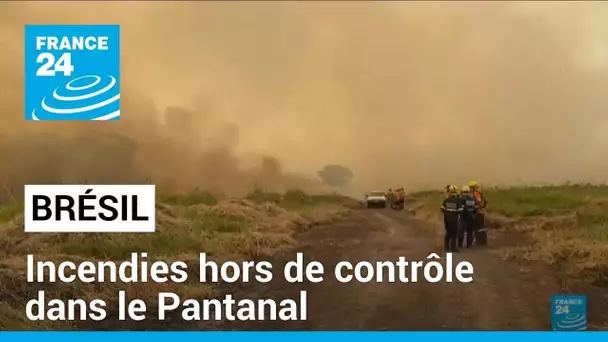 Brésil : des feux "hors de contrôle" mettent en danger le Pantanal • FRANCE 24