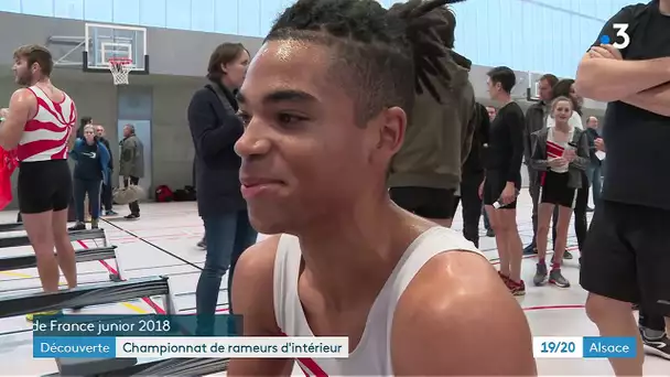 Alsace : au championnat d'aviron indoor