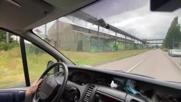 Une jungle en bord de Seine : la fresque géante d'Ecloz près de Rouen