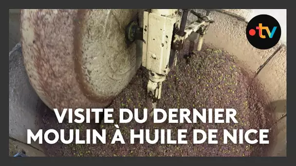 Visite du dernier moulin à huile de Nice : le moulin Alziari