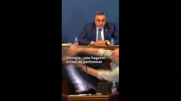 En Géorgie, une bagarre au Parlement pendant la discussion sur les « agents de l’étranger »